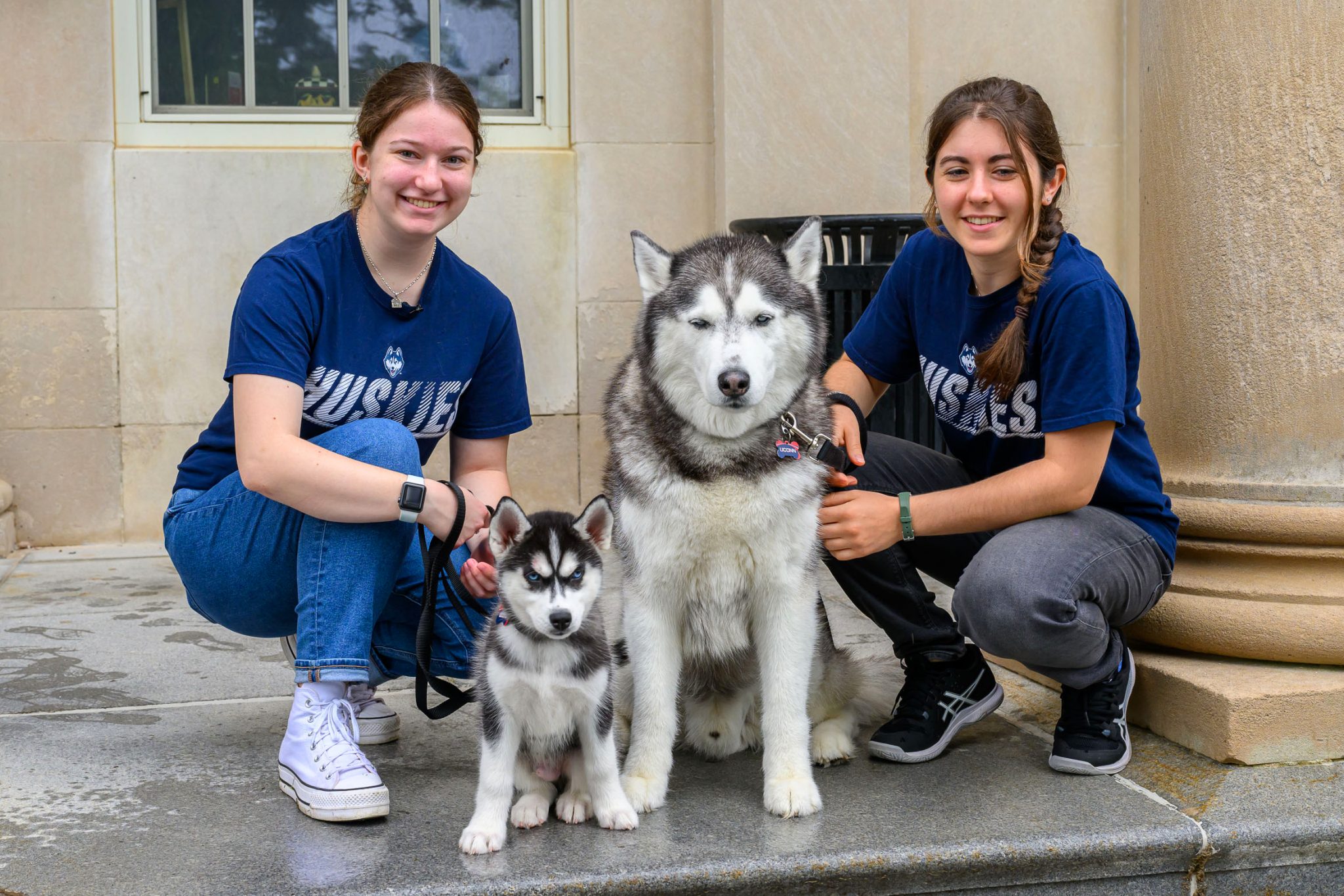 Pre-Veterinary Medicine (Pre-VET) | Department of Pathobiology and ...